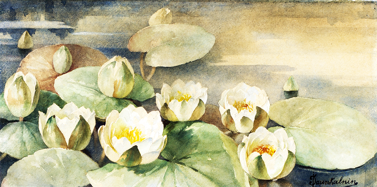 Jūlijs Jaunkalniņš. Ūdens lilijas. Balta puķe ezerā. Līdz 1910. Papīrs, akvarelis. 24,5 x 49,5 cm. VMM Z-6833